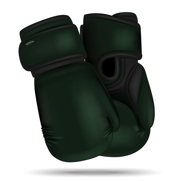 color-boxing-gloves-sport-hands-punch-items-boxers-equipment-d-isolated-objects-utter-vecto_166005-2224 - Copy - Copy